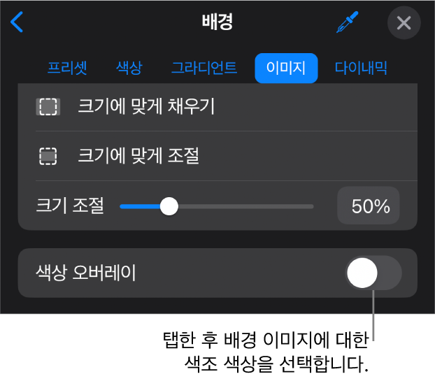 이미지가 슬라이드 배경으로 설정되고 하단에 색상 오버레이 제어기가 있는 배경 제어기.