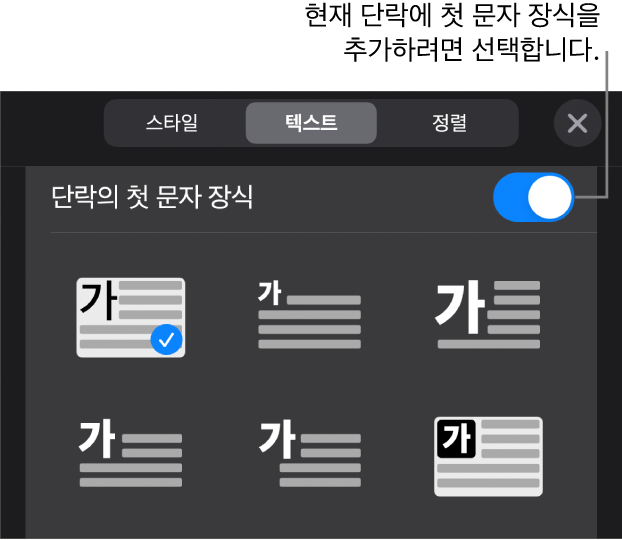 텍스트 메뉴의 하단에 위치한 ‘단락의 첫 문자 장식’ 제어기.