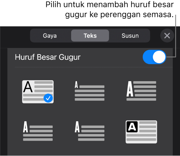 Kawalan Huruf Besar Gugur terletak di bahagian bawah menu Teks.