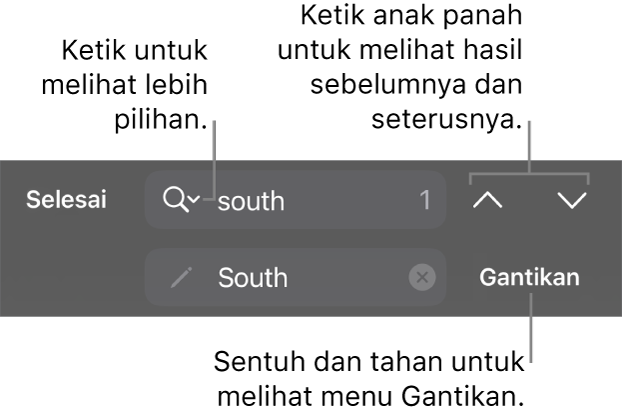 Kawalan Cari & Ganti di atas papan kekunci dengan petak bual ke butnag Pilihan Carian, Ganti, Pergi ke Atas dan Pergi ke Bawah.