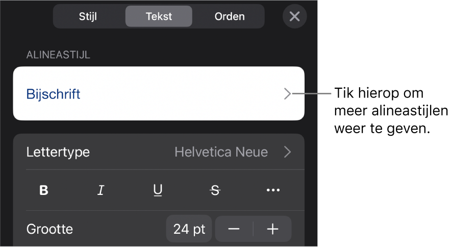 Het opmaakmenu met tekstregelaars voor het instellen van alinea- en tekenstijl, lettertype, lettergrootte en kleur.