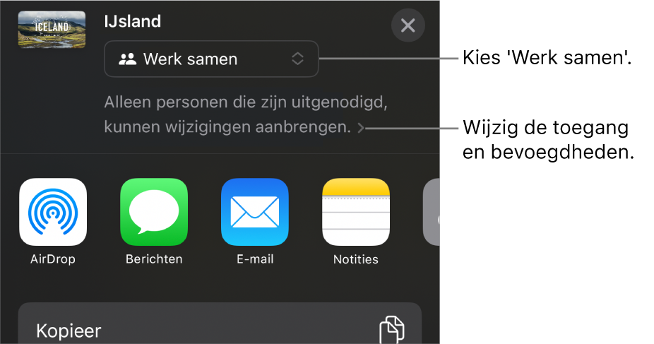 Het Deel-menu waarin bovenin 'Werk samen' is geselecteerd. Eronder staan toegangsinstellingen en bevoegdheden.