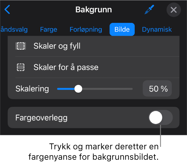 Bakgrunn-kontroller med et bilde angitt som lysbildebakgrunn og Fargeoverlegg-kontrollen nederst.