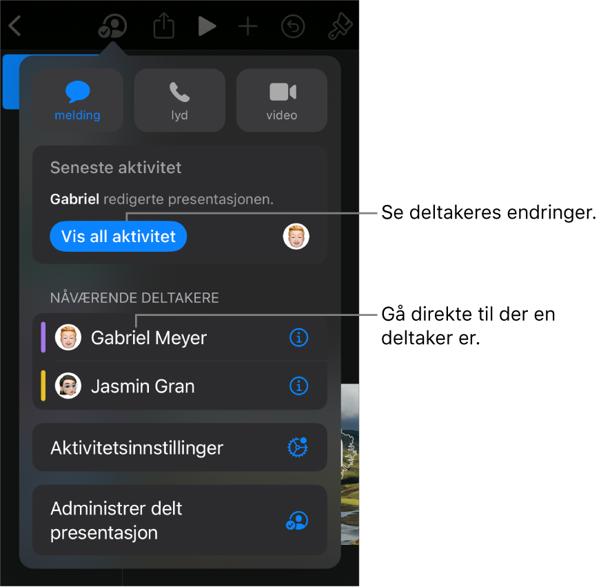 Samarbeidsmenyen, som viser gjeldende deltakere.