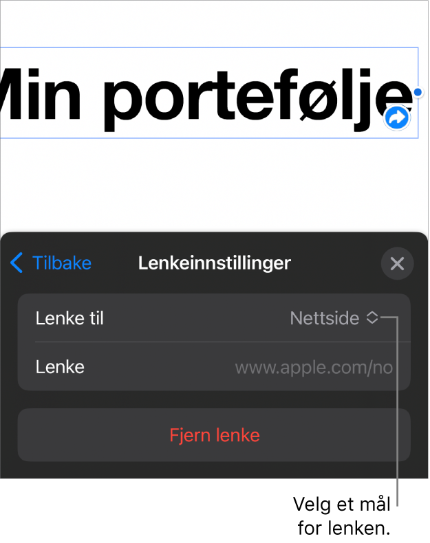 Lenkeinnstillinger-kontrollene med Nettside markert, og Fjern lenke-knappen nederst.