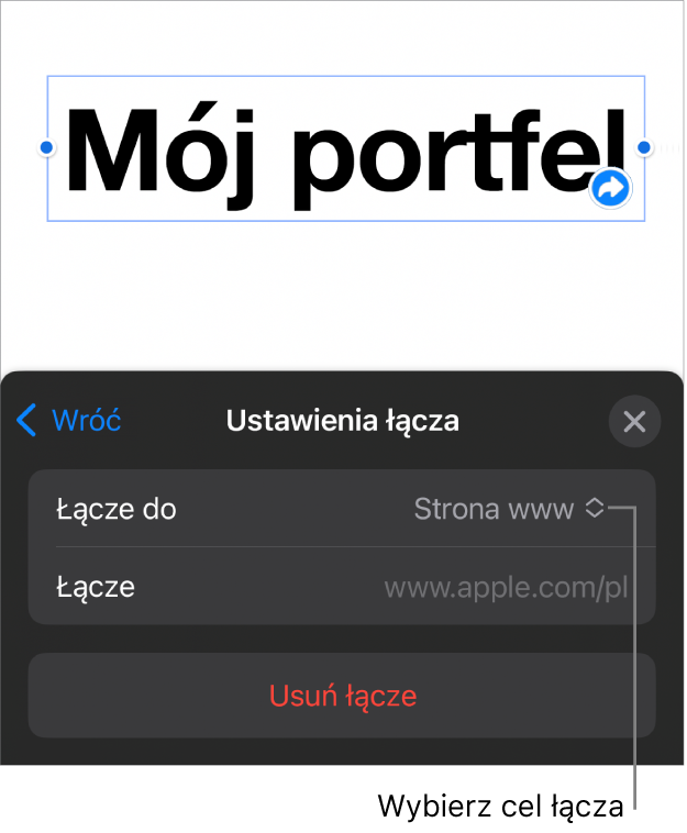 Narzędzia ustawień łącza; wybrane jest narzędzie Strona www; na dole znajduje się przycisk Usuń łącze.