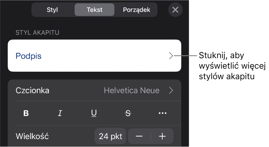 Menu Format z narzędziami tekstu pozwalającymi na ustawianie stylów akapitu, stylów znaków, czcionki, wielkości oraz koloru.