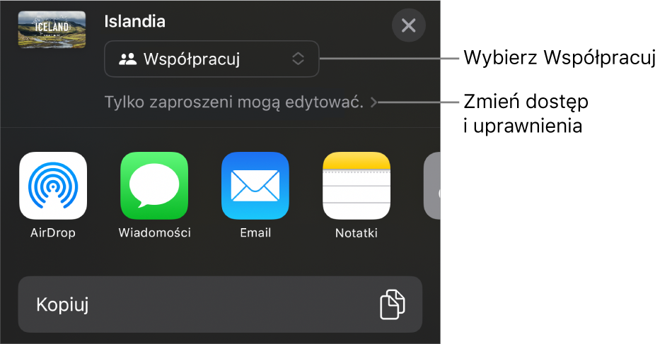 Menu udostępniania z opcją Współpracuj wybraną u góry oraz ustawieniami dostępu i uprawnień poniżej.