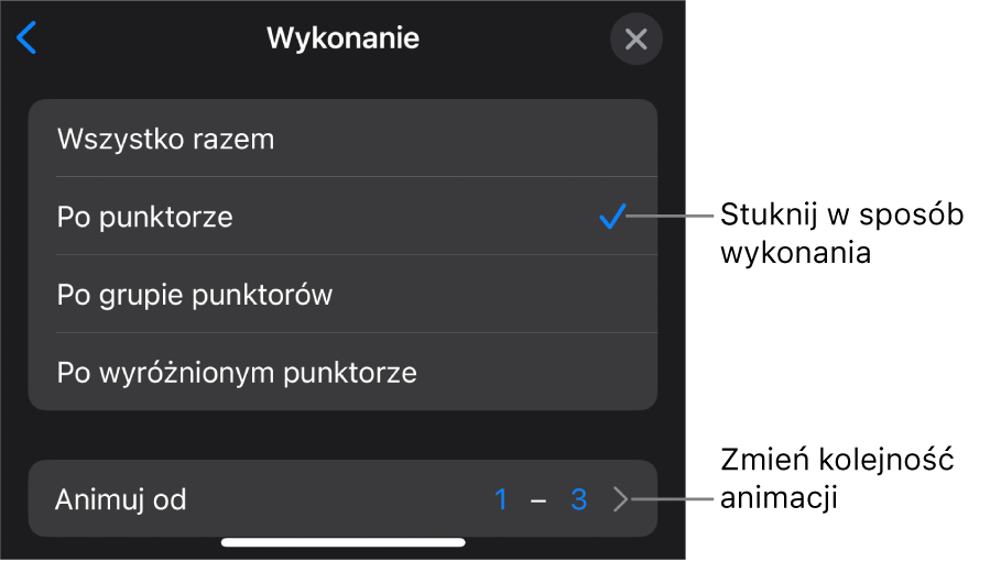 Opcje wykonania w panelu Wejście.