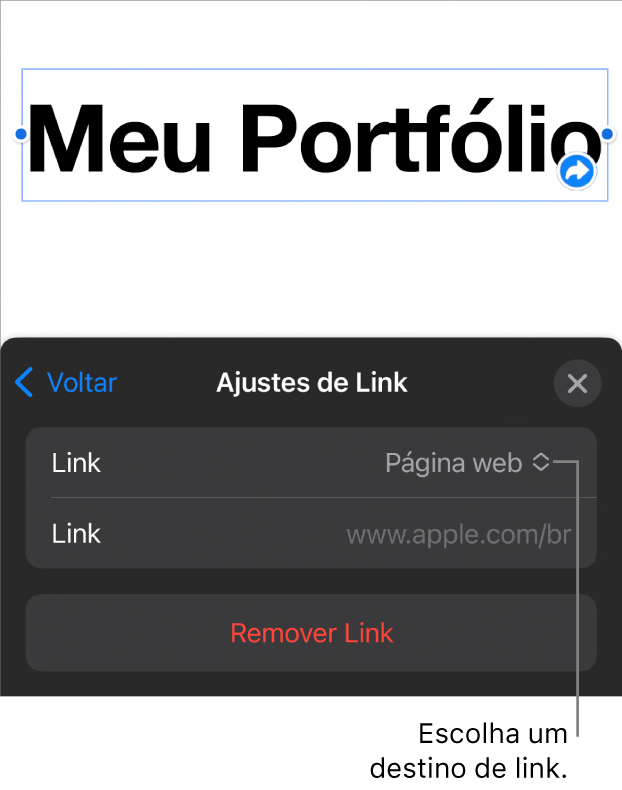 Controles de “Ajustes do Link” com “Página Web” selecionado e o botão “Remover Link” na parte inferior.