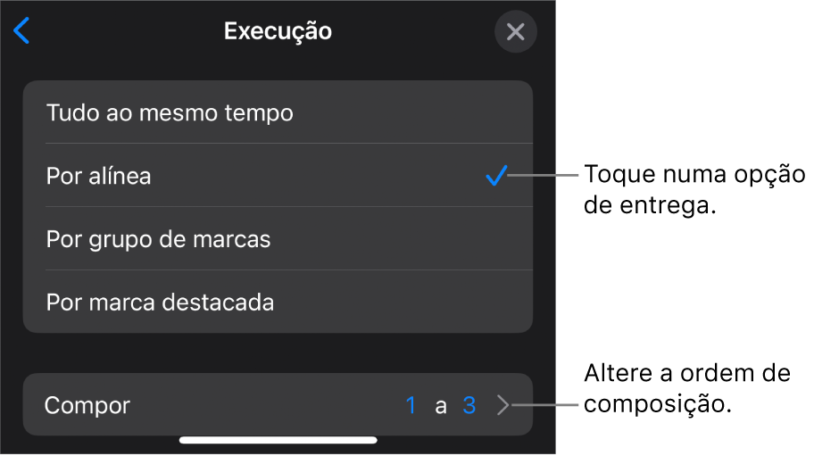 Opções de execução no painel Entrada.
