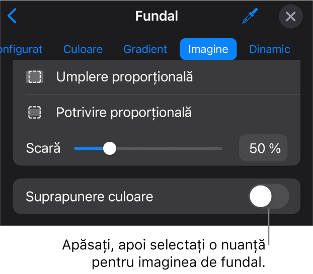 Comenzile Fundal cu o imagine configurată drept fundal al diapozitivului și comanda Suprapunere culoare în partea de jos.