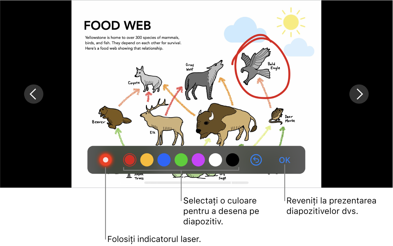 Mod de ilustrare diapozitiv în diapozitiv afișând indicatorul laser și comenzile de selectare a culorii.