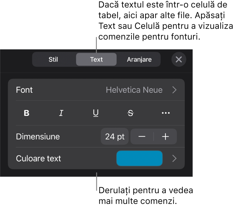 Comenzi text din meniul Format pentru configurarea paragrafelor și a stilurilor, fonturilor, dimensiunii și culorii caracterelor.