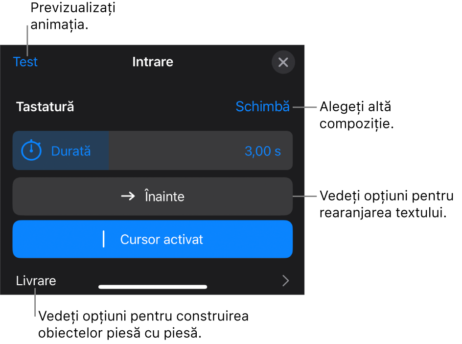 Opțiunile de compoziție includ Durată, Animație text și Livrare. Apăsați Schimbați pentru a alege o altă compoziție sau apăsați Preafișează pentru a previzualiza compoziția.