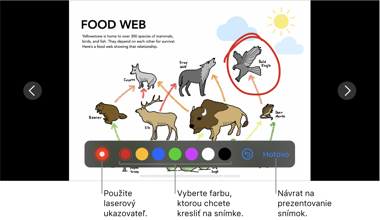 Režim kreslenia na snímke zobrazujúci laserový ukazovateľ a ovládacie prvky výberu farby.