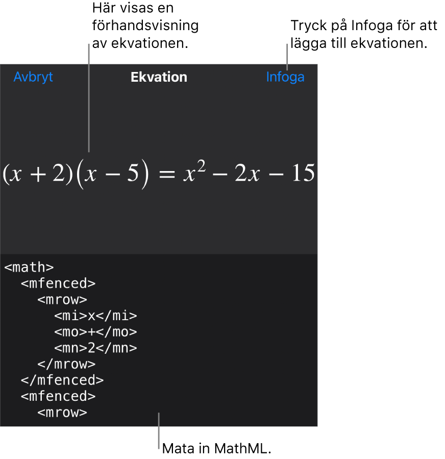 Dialogrutan Ekvation visar en ekvation som skrivits med MathML-kommandon och en förhandsvisning av formeln ovanför den.