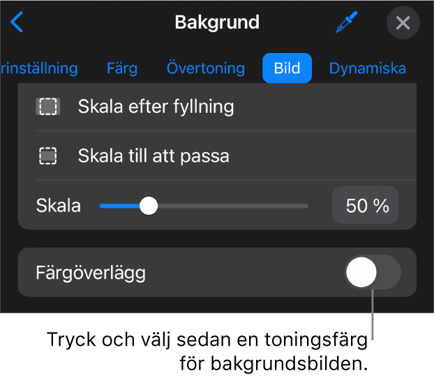 Bakgrundsreglagen med en bild inställd som diabildsbakgrund och reglaget Färgöverlägg längst ned.