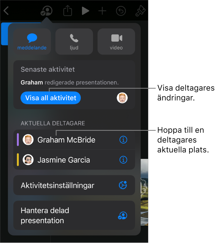 Samarbetsmenyn med aktuella deltagare listade.