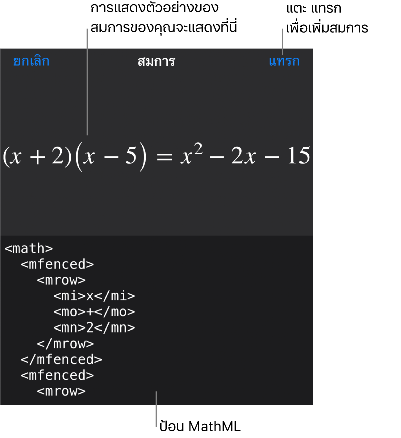 หน้าต่างโต้ตอบสมการ ที่แสดงสมการที่เขียนโดยใช้คำสั่ง MathML และการแสดงตัวอย่างของสูตรด้านบน
