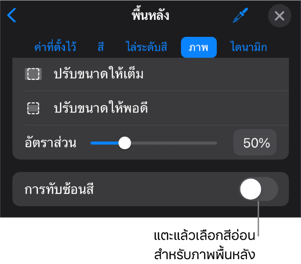 ตัวควบคุมพื้นหลัง โดยที่ภาพถูกตั้งค่าเป็นพื้นหลังของสไลด์ และตัวควบคุมการทับซ้อนสีอยู่ด้านล่างสุด