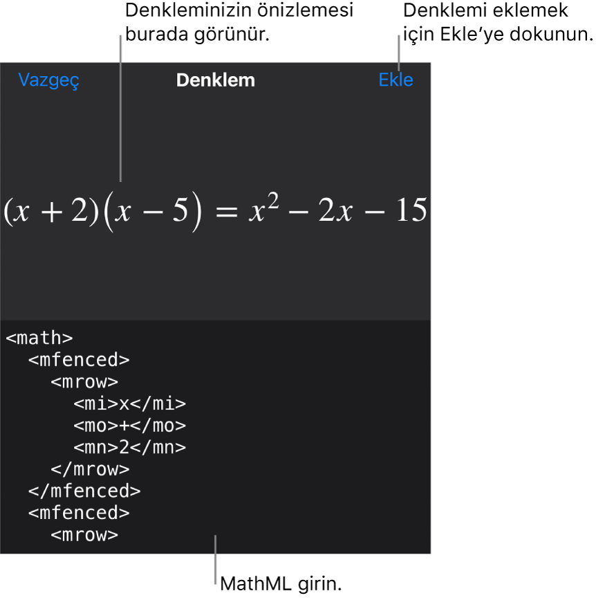 MathML komutları kullanılarak yazılmış bir denklemi ve onun üstünde formülün önizlemesini gösteren Denklem sorgu kutusu.