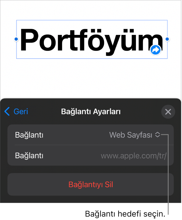 Bağlantı Ayarları denetimlerinde Web Sayfası seçili, en altta ise Bağlantıyı Sil düğmesi bulunuyor.