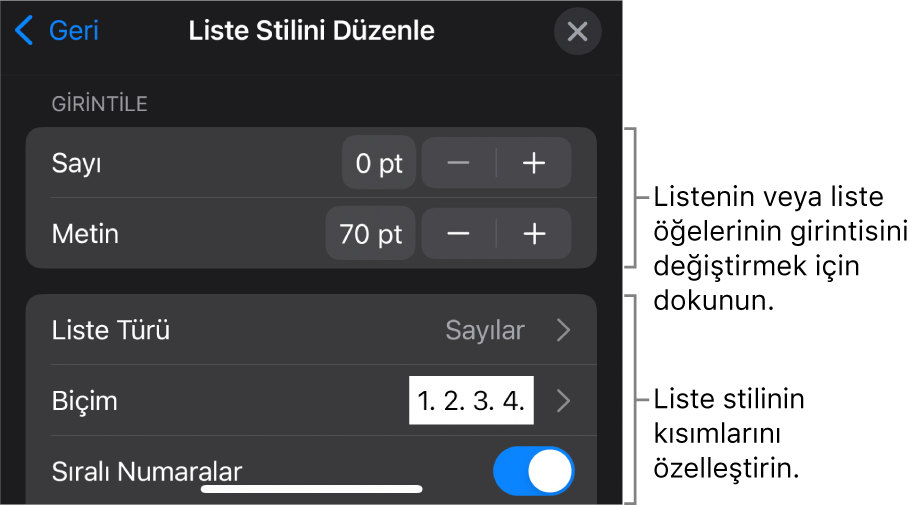 Listenin türünü ve görünüşünü düzenleme denetimleriyle Liste Stilini Düzenle menüsü.
