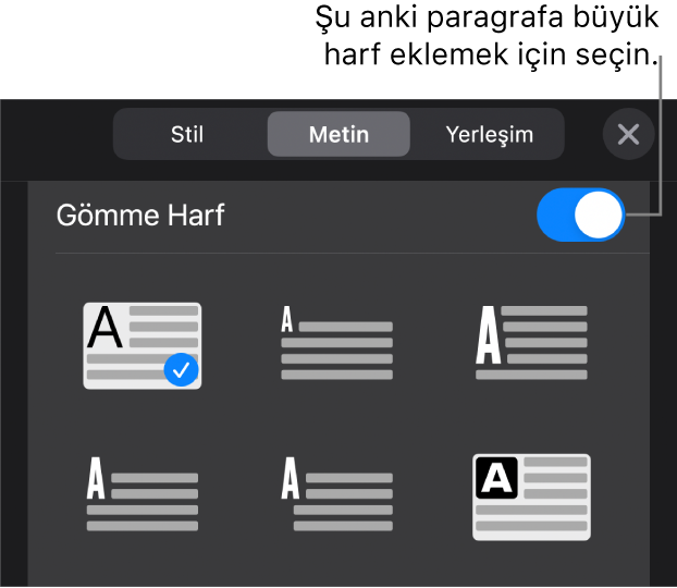 Metin menüsünün en altında yer alan İlki Büyük Harf denetimleri.