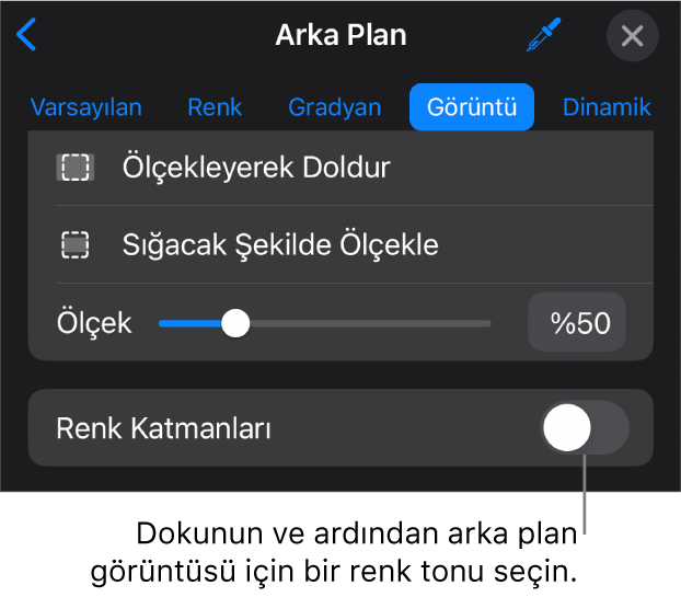 Arka Plan denetimleri, slayt arka planı olarak ayarlanmış bir görüntü ve en alttaki Renk Kaplama ile.
