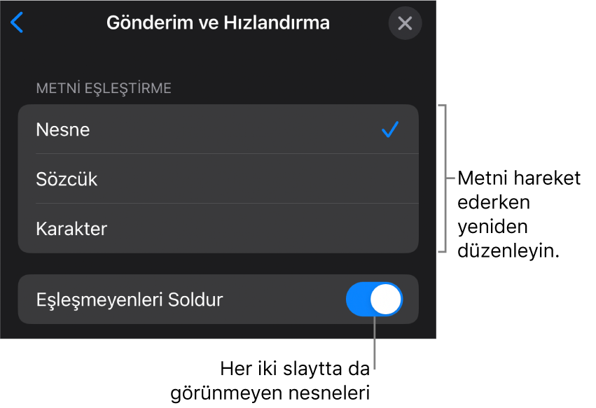 Hızlandırma bölümündeki Sihirli Taşıma gönderim ve hızlandırma seçenekleri.