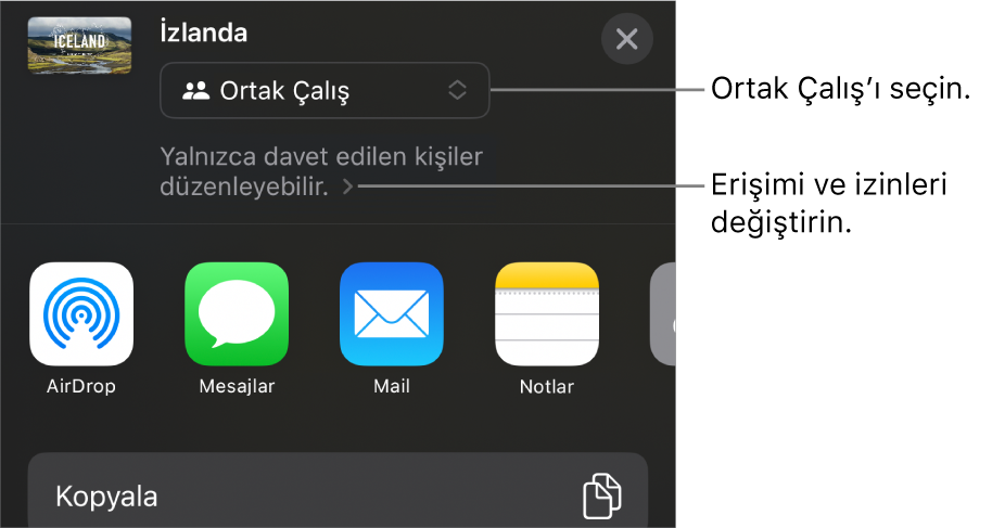 En üstte Ortak Çalış seçili olan Paylaş menüsü ve altında erişim ve izin ayarları.