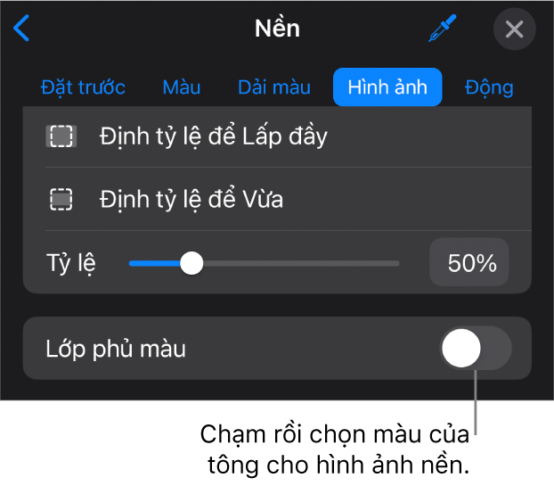 Các điều khiển Nền với hình ảnh được đặt dưới dạng nền trang chiếu và điều khiển Lớp phủ màu ở dưới cùng.