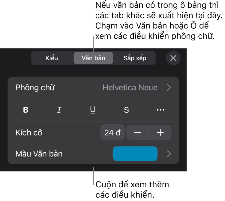 Các điều khiển văn bản trong menu Định dạng để đặt kiểu, phông chữ, kích cỡ và màu của đoạn và ký tự.