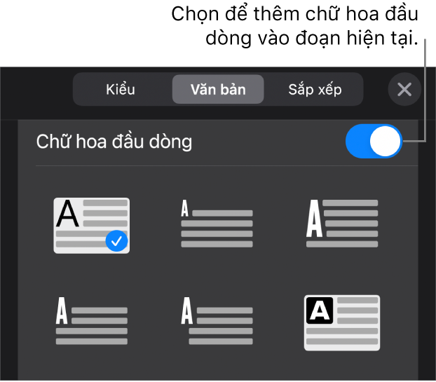 Các điều khiển Chữ hoa đầu dòng nằm ở cuối menu Văn bản.