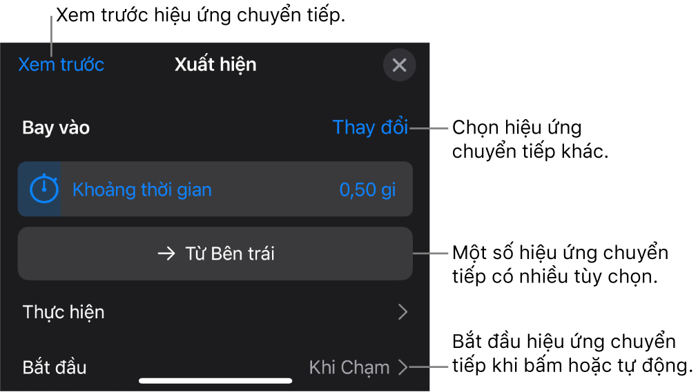Các điều khiển trong khung Tùy chọn để sửa đổi hiệu ứng chuyển tiếp.