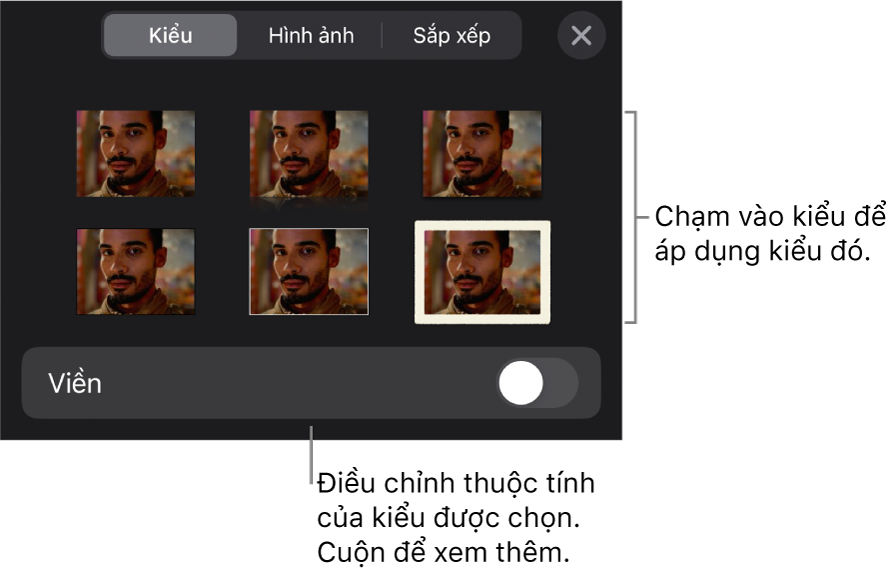 Tab Kiểu của menu Định dạng với các kiểu đối tượng ở đầu và một điều khiển ở bên dưới để thay đổi đường viền.