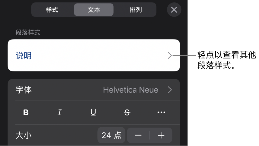 显示文本控制的“格式”菜单，用于设定段落和字符样式、字体、大小和颜色。