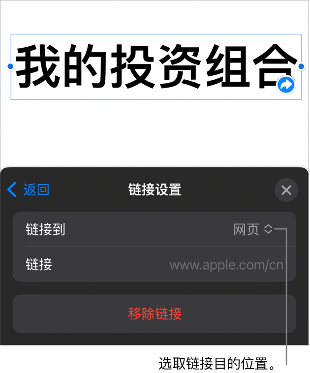 “链接设置”控制，“网页”已选中，“移除链接”按钮位于底部。