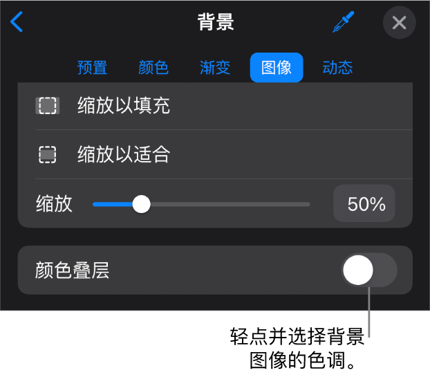 “背景”控制，其中图像设为幻灯片背景，底部为“颜色叠层”控制。