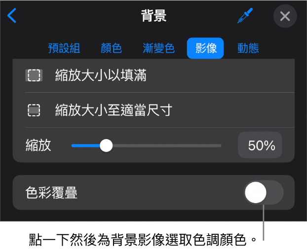 「背景」控制項目，其中一個影像已設定為幻燈片背景，且「色彩覆疊」控制項目位於底部。