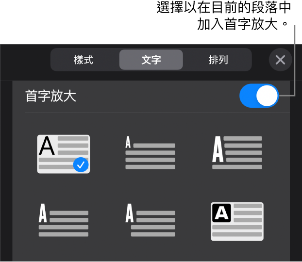 「首字放大」控制項目位於「文字」選單底部。
