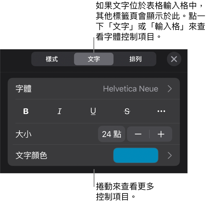 「格式」選單中設定段落及字元樣式、字體、大小和顏色的文字控制項目。