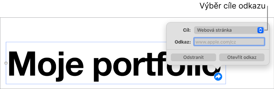 Ovládací prvky editoru odkazů s vybranou volbou Webová stránka a tlačítky Odstranit a Otevřít odkaz v dolní části.