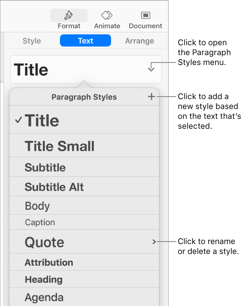 The Paragraph Styles menu, showing controls to add or change a style.