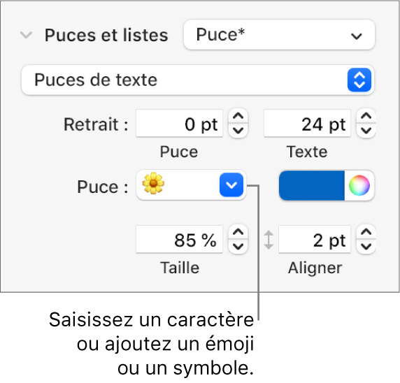 La section Puces et listes de la barre latérale Format. Le champ Puces affiche un émoji de fleur.