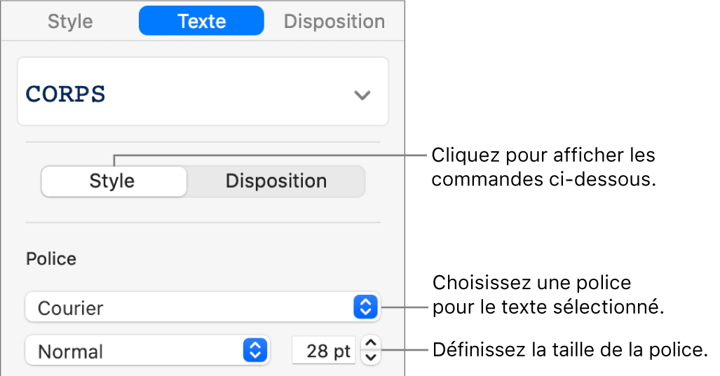 Commandes de texte de la section Style, dans la barre latérale de configuration de la police et de la taille des caractères.