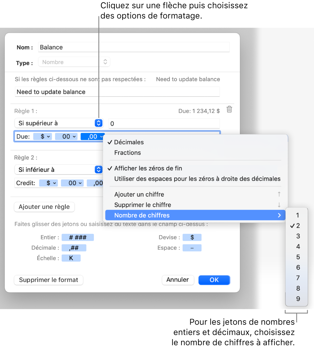 Fenêtre de format de cellule personnalisé présentant les commandes permettant de créer un format numérique personnalisé.