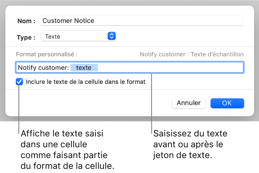 Format de cellule texte personnalisé.