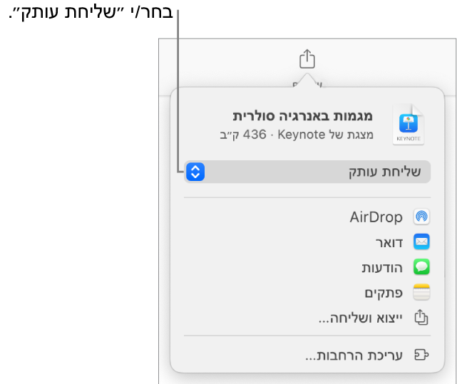 תפריט השיתוף כאשר האפשרות ״שלח/י עותק״ נבחרת בחלק העליון.